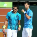 Tipsarevic bác tin Djokovic được thiên vị